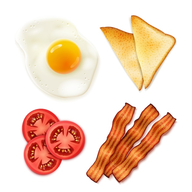 Free Vectors  Where to make fried eggs