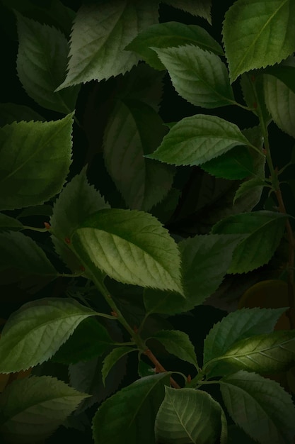 Briançon apricot leaf pattern background vector