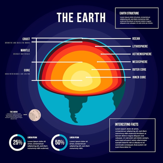 Free vector bright earth structure infographic