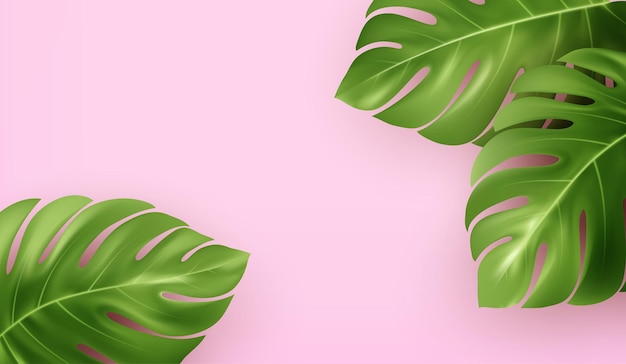 Bright pink summer background with tropical realistic monstera leaves.