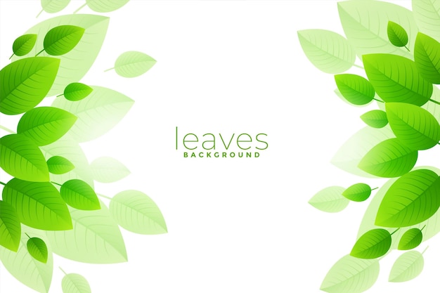 Free vector brish green leaves background design