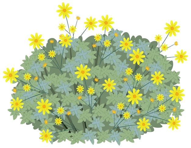 오순절에 고립 된 만화 스타일의 Brittlebush