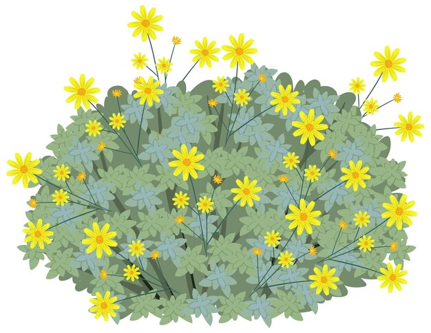 Brittlebush in cartoon style isolated on whit