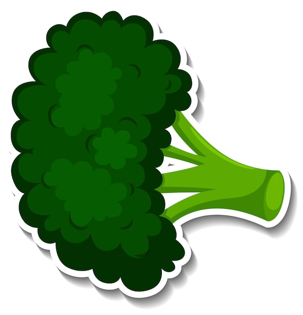 Broccoli sticker on white background