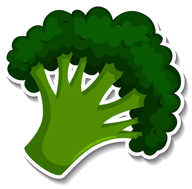 Free Vector broccoli sticker on white background