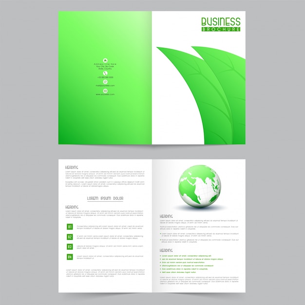 brochure graphic print magazine letterhead