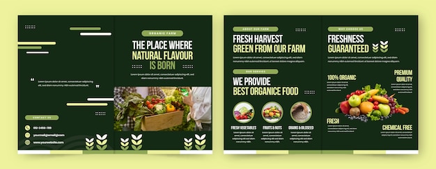 Free vector brochure template for agriculture and farming organic food