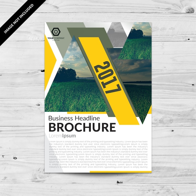 Brochure template design