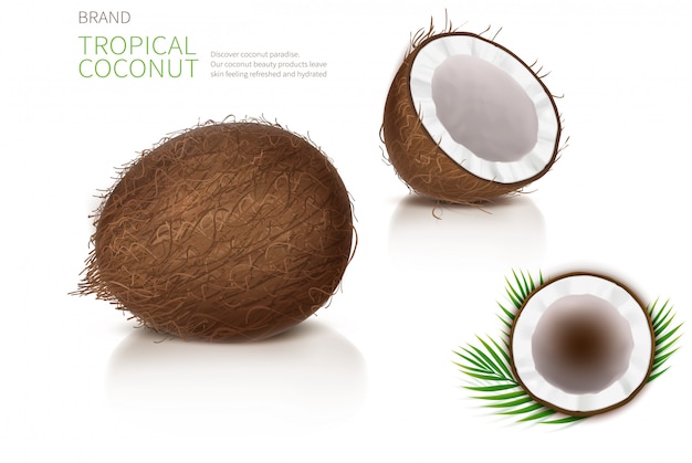 Broken and whole coconut