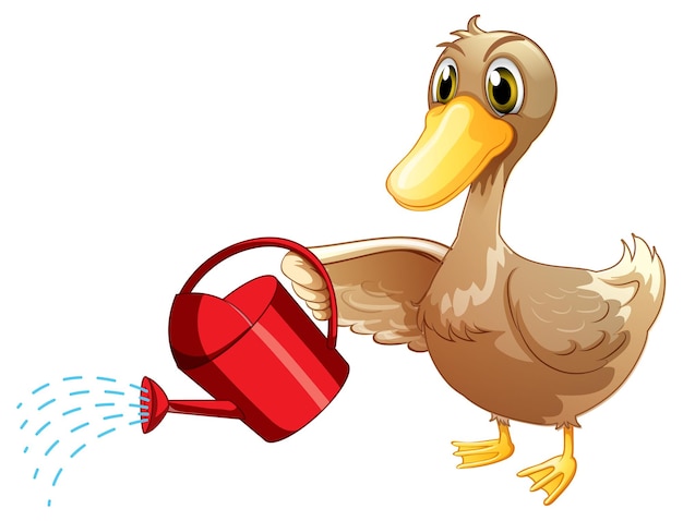 Brown duck and watering can on white background