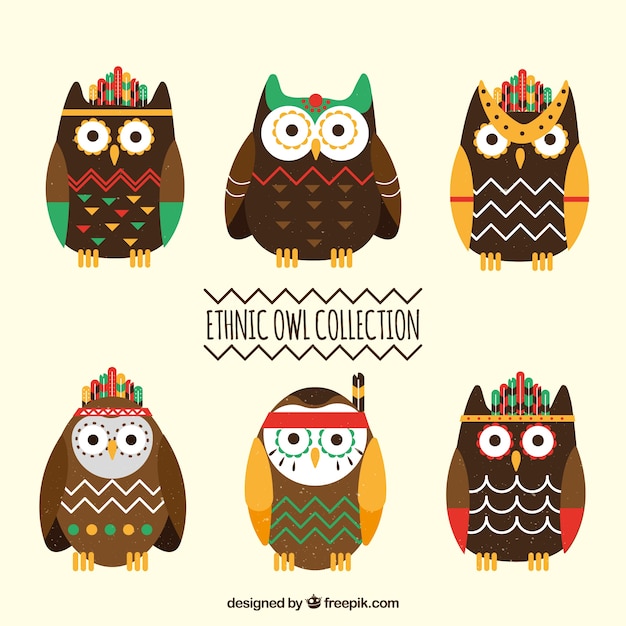 Free vector brown ethnic owl set