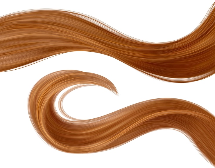 Free Vector brown long waved woman hair strand lock