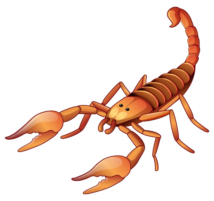 Free Vector brown scorpion 