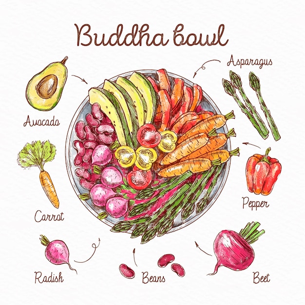 Free vector buddha bowl recipe with drawn ingredients