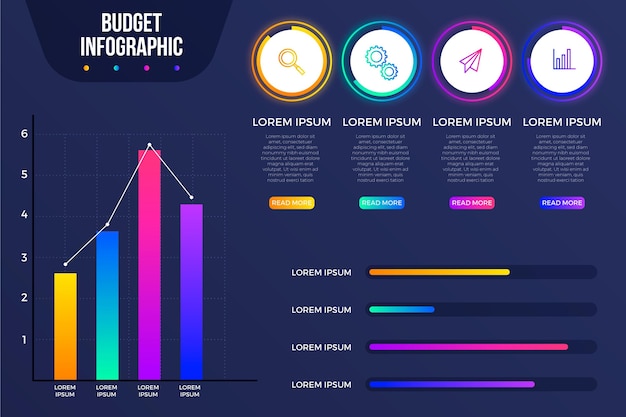 Budget infographic concept