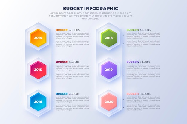 Бесплатное векторное изображение Бюджетная инфографика