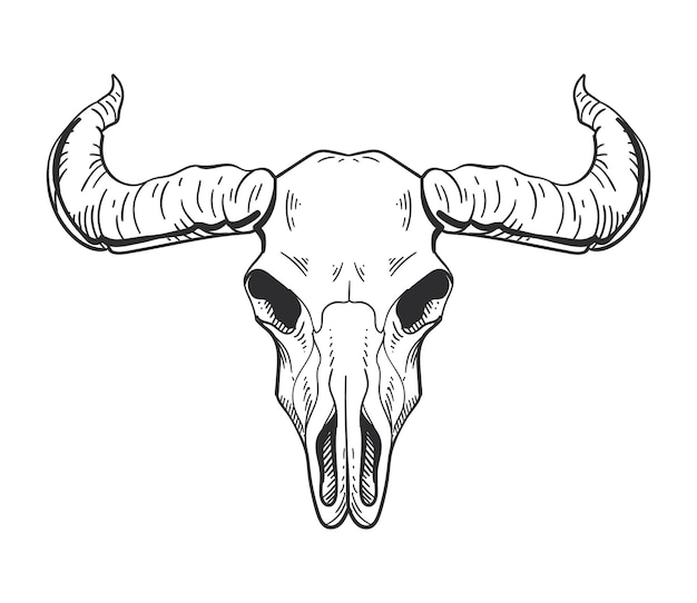 bull skull boho isolated icon vector