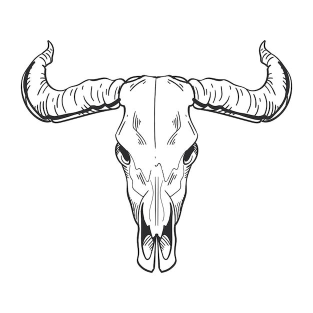 Free vector bull skull bone isolated icon vector