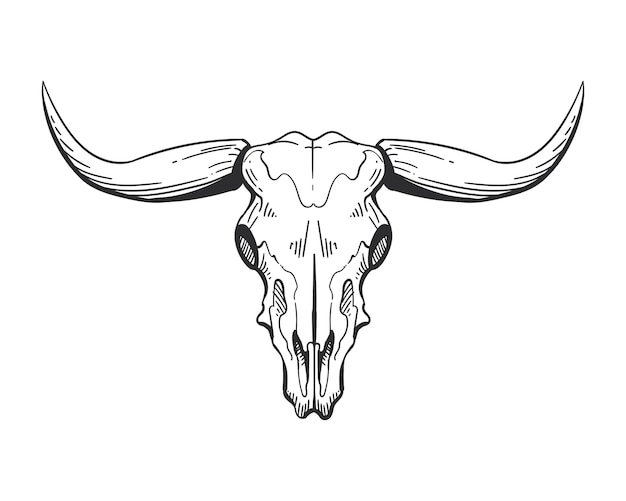 Free vector bull skull head isolated icon vector