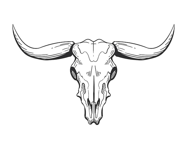 Вектор изолированной иконы головы быка