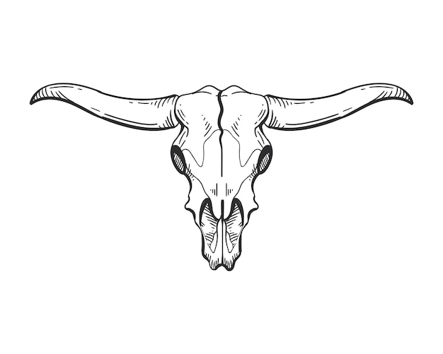 Bull skull isolated icon vector illustration