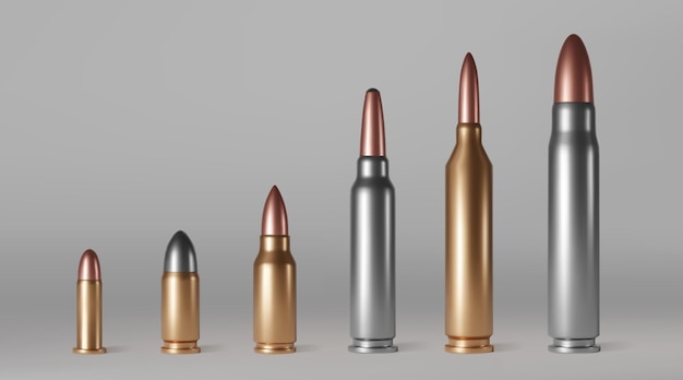 Bullet cartridges ammunition for gun