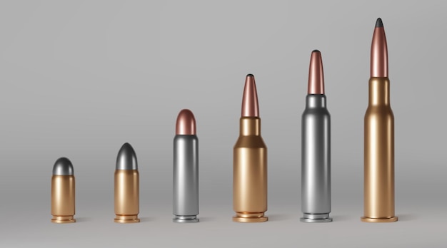 Bullets of different calibers stand in row