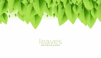 Vettore gratuito mazzo di foglie verdi sfondo design