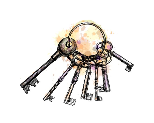 分離されたゴールデンキーのベクトルイラスト プレミアムベクター