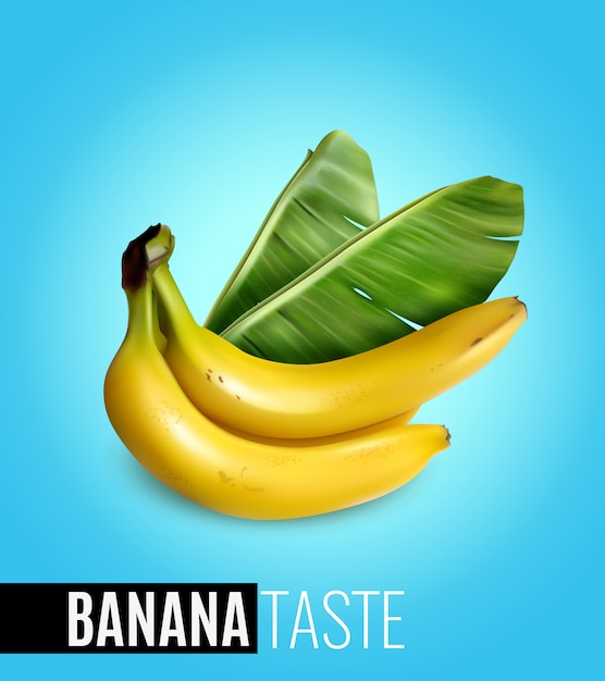 Гроздь спелых бананов с пальмовым листом, рекламирующим натуральный вкус еды, реалистичный синий постер