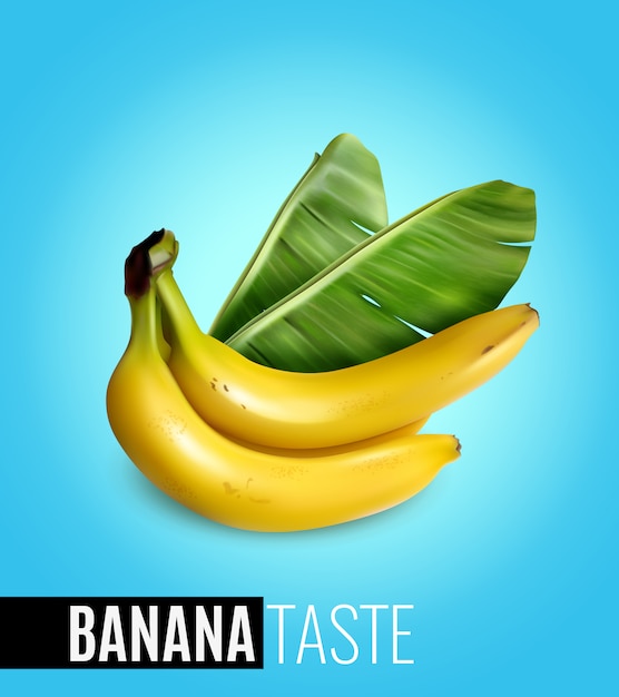 Bunch of ripe bananas with palm leaf advertising natural food taste realistic poster blue