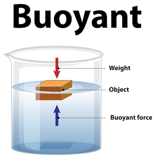 Free vector buoyant science experiment on white background