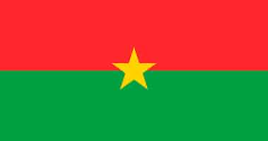 Free vector burkinabe flag pattern vector