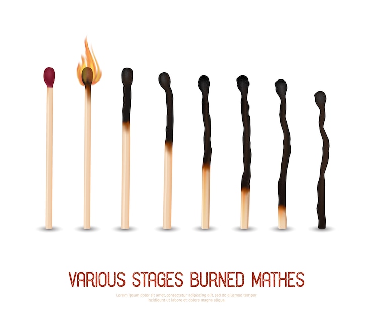Free Vector burned matches set