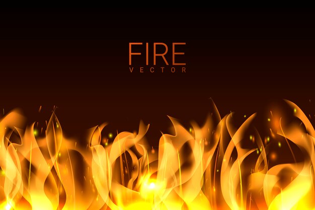 Burning fire background