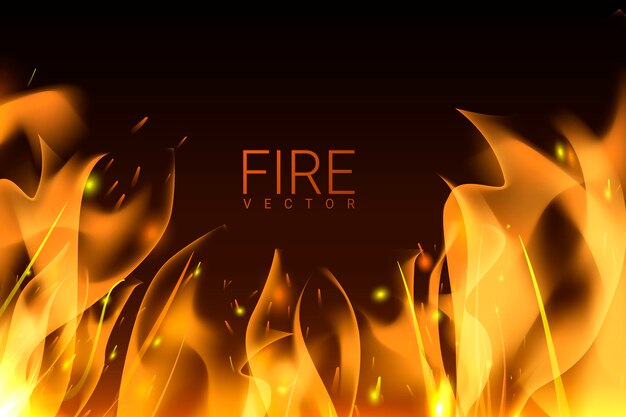 Burning fire background