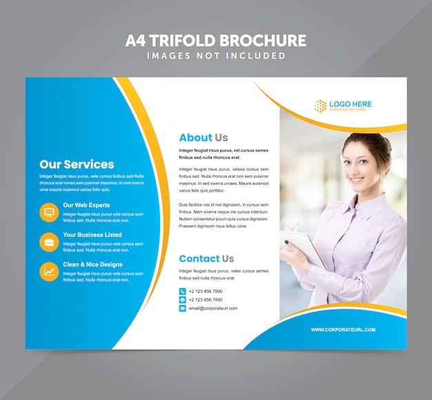 Business multipurpose a4 trifold brochure vector template
