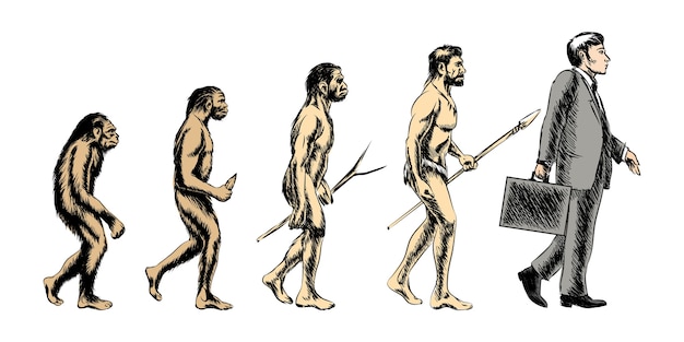 Businessman evolution illustration