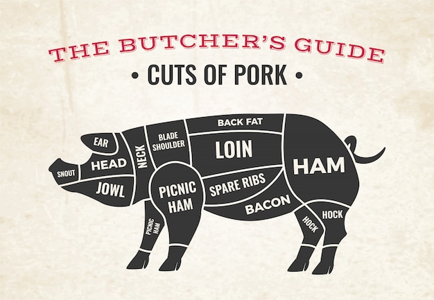無料ベクター 豚のシルエットと古い紙の上の豚肉の切り身の肉屋図