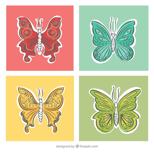 Butterflies in different colors and sizes