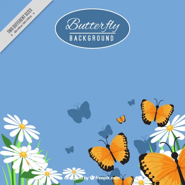 Free vector butterflies with daisies background