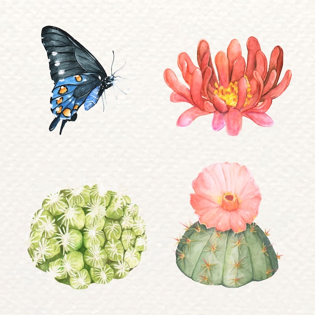 Free vector butterfly and cactus hand drawn set