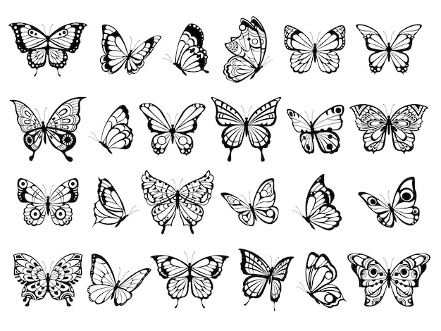 Free Free 319 Butterfly Swarm Silhouette Butterfly Svg SVG PNG EPS DXF File