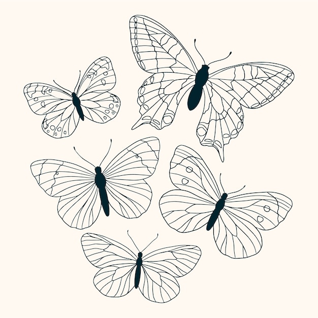 Free Vector butterfly illustration set