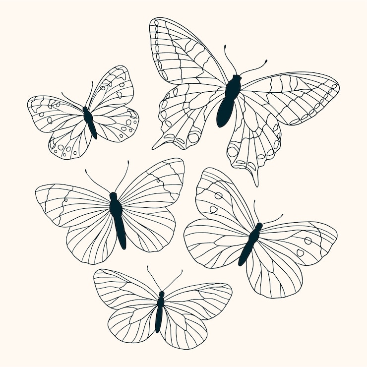Free Vector butterfly illustration set