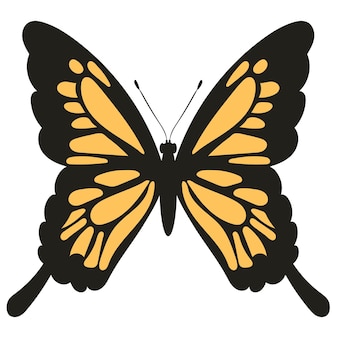 Butterfly insect white background vector