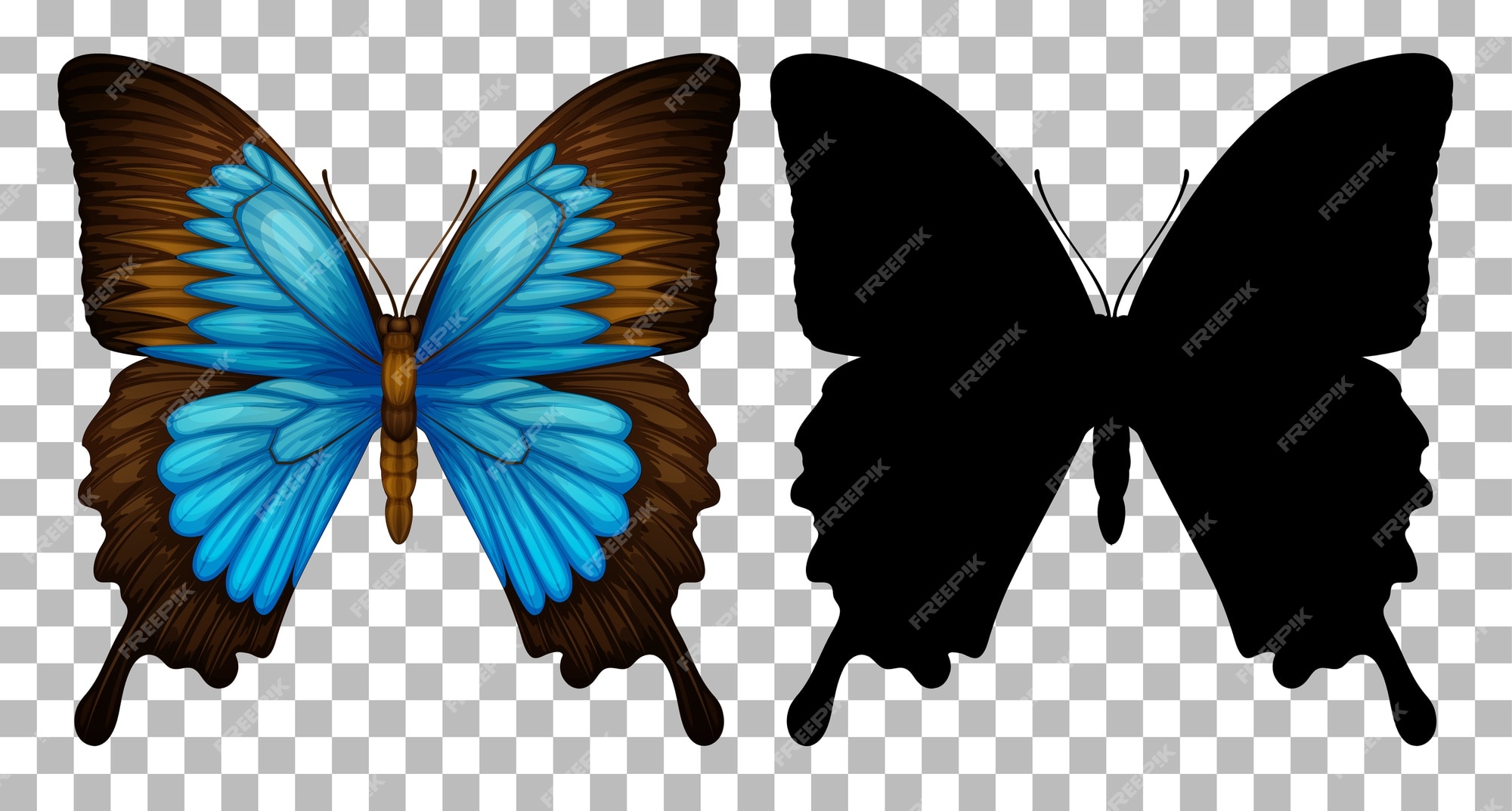 Butterfly Transparent Images - Free Download on Freepik