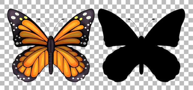 Free vector butterfly and its silhouette on transparent