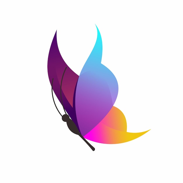 Butterfly logo colorful gradient illustrations