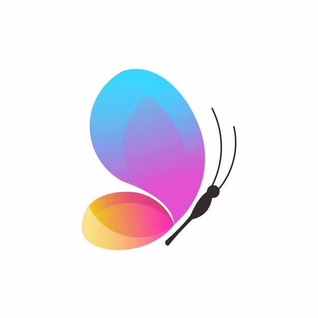 Butterfly logo colorful gradient illustrations